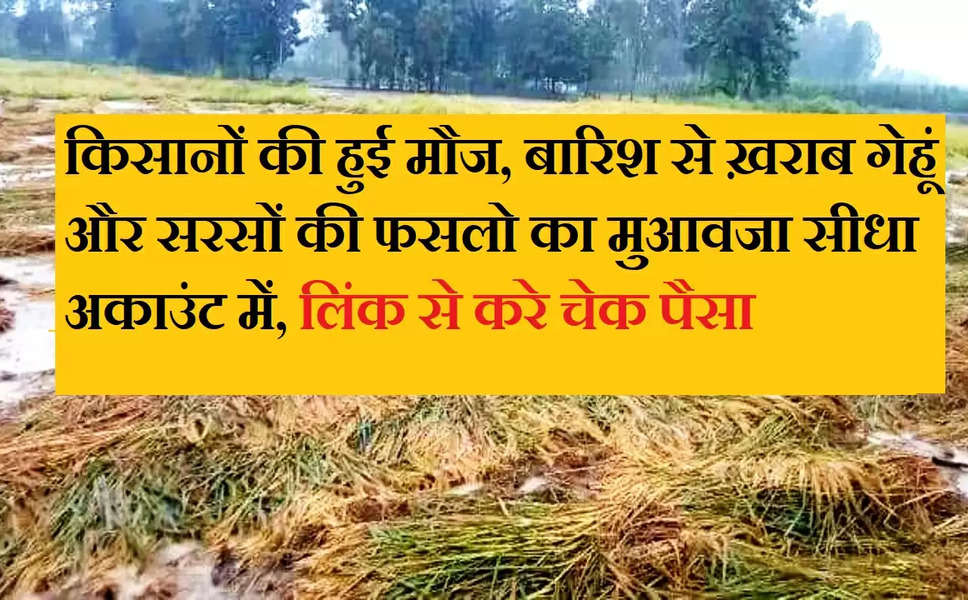Haryana: हरियाणा के किसानों की हुई मौज, बेमौसमी बारिश से ख़राब गेहूं और सरसों की फसलो का मुआवजा सीधा अकाउंट में भेजा, यहाँ करे चेक कितना आया है पैसा