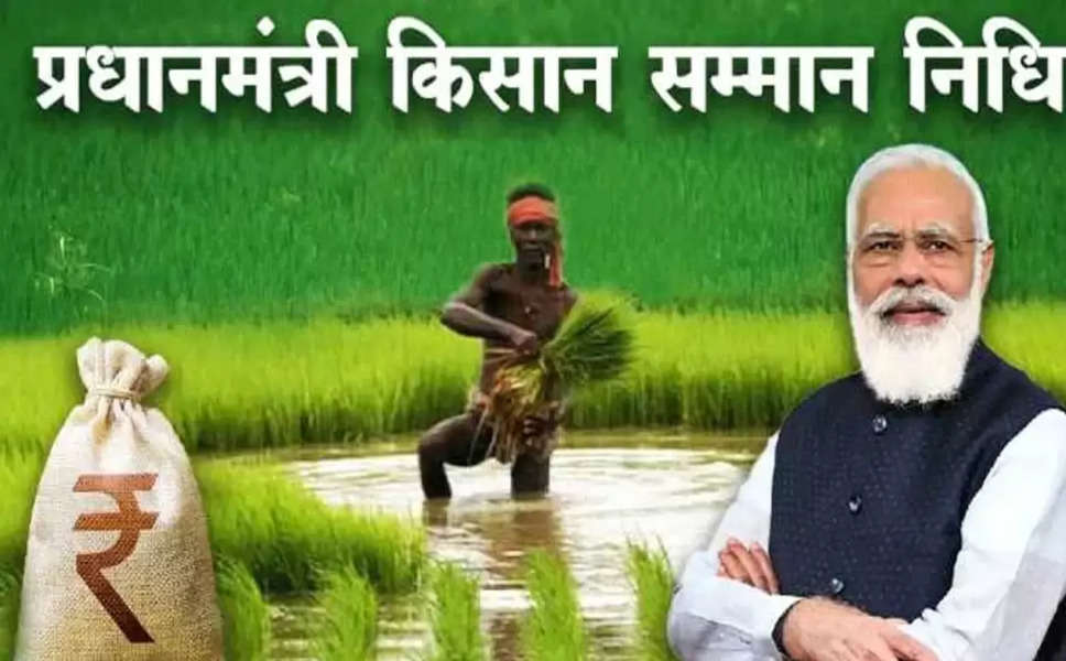PM Kisan Update: 12वी क़िस्त की घोषणा इस तारीख को आ जाएंगे 2 हजार रुपये, 70 लाख किसान रहेंगे वंचित