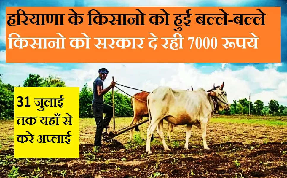 हरियाणा के किसानो की हुई मौज, खट्टर सरकार दे रही है प्रति एकड़ 7 हजार रुपये, 31 जुलाई तक यहाँ से करे अप्लाई