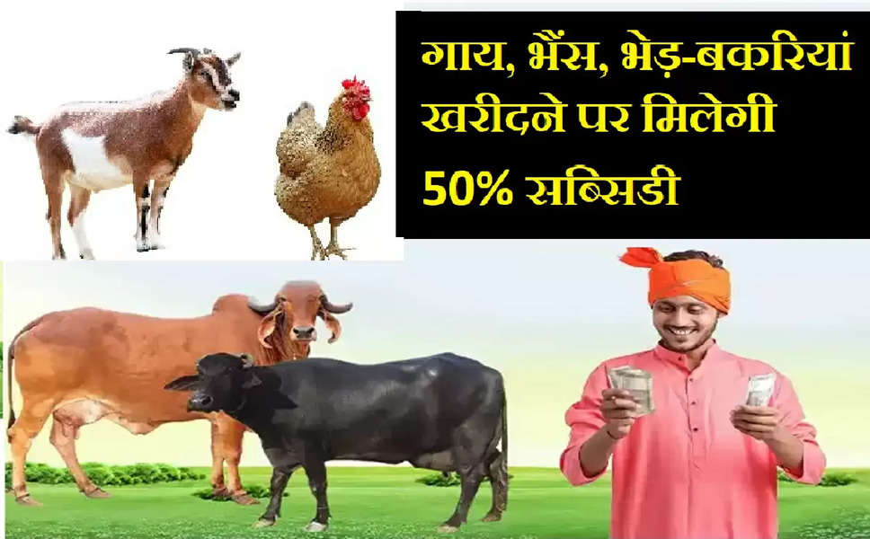 किसानो के लिए खुशखबरी, गाय, भैंस, भेड़-बकरियों पर सरकार दे रही है 50% सब्सिडी - जानें पूरी जानकारी