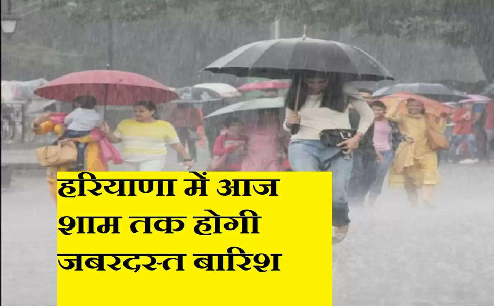 Aaj Ka Mousam: हरियाणा में अगले दो दिन इन जगह होगी जबरदस्त बारिश, जाने मौसम का हाल 