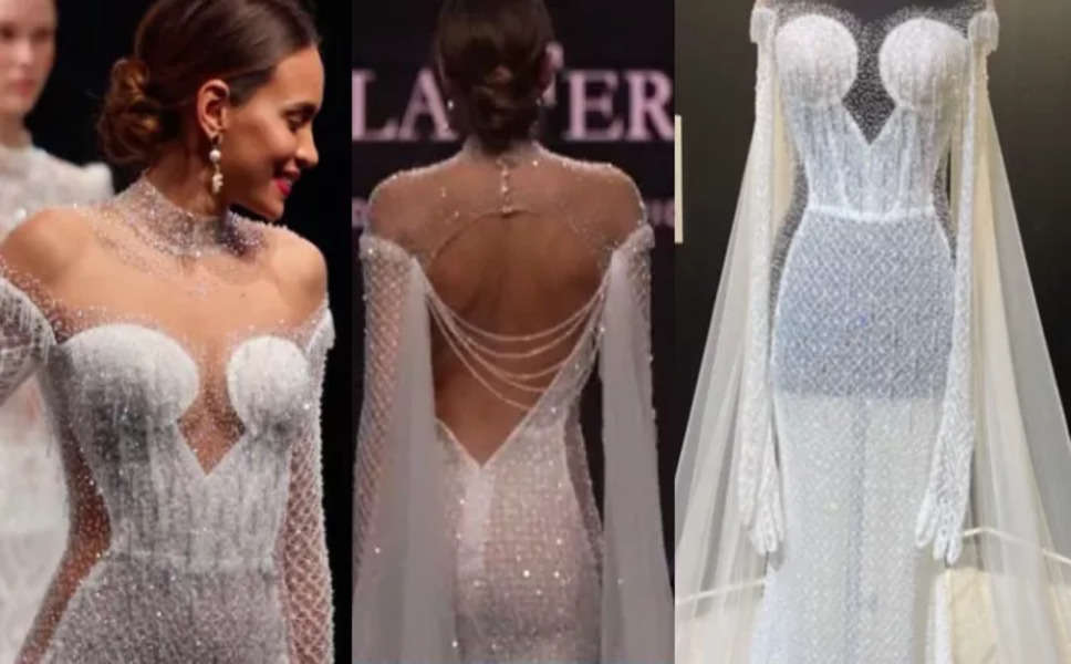 Wedding Gown: ये है दुनिया की सबसे सुंदर वेडिंग ड्रेस, 50 हजार क्रिस्टल..इस गाउन में हैं अजीब खूबियां