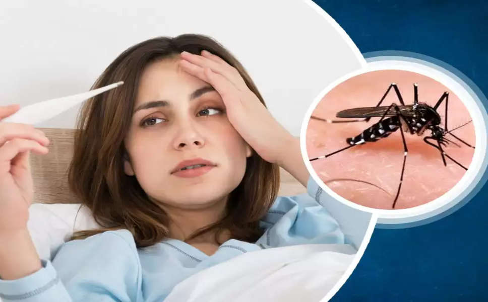 Dengue Fever: डेंगू से हुए बुखार में दिखने लगते हैं शरीर में ये लक्षण. इस तरह से करें पहचान