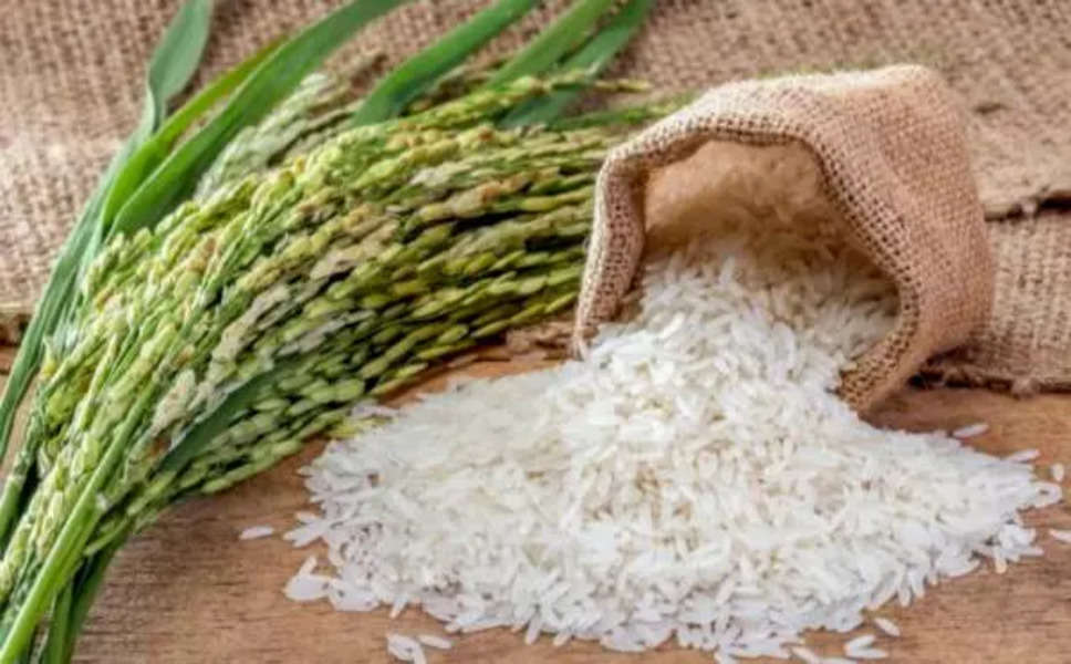 गेहूं के बाद अब चावल की कीमतों में उछाल, किसानो के लिए चावल बन सकता है सोना